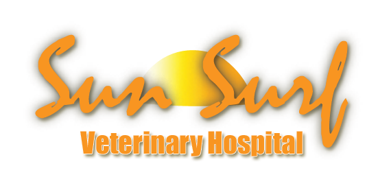 logo_sunsurf_1725074177